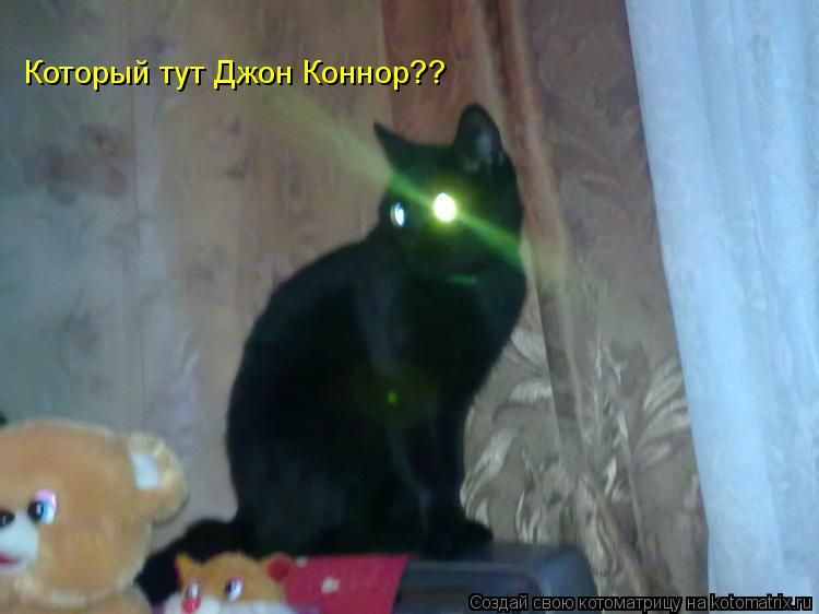 Который тут Джон Коннор??... Котоматрица: Который тут Джон Коннор??