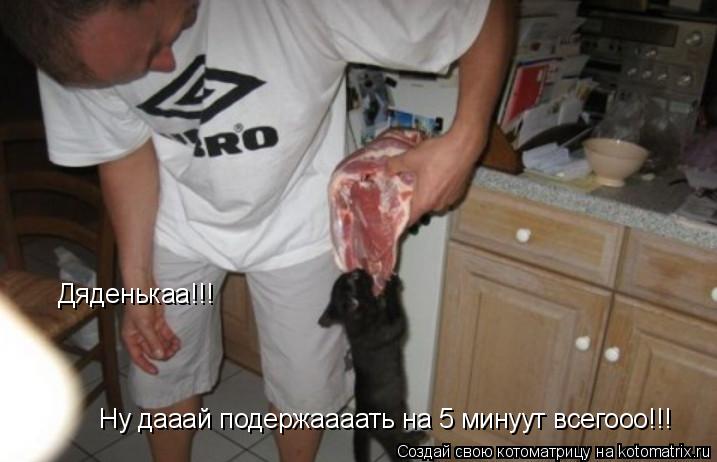 Дяденькаа!!! Ну дааай подержаааать на 5 минуут всегооо!!!... Котоматрица: Дяденькаа!!! Ну дааай подержаааать на 5 минуут всегооо!!!