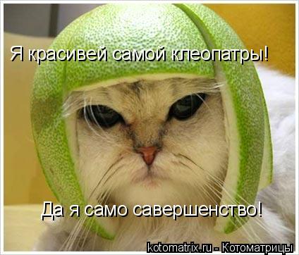 Я красивей самой клеопатры! Да я само савершенство!... Котоматрица: Я красивей самой клеопатры! Да я само савершенство!