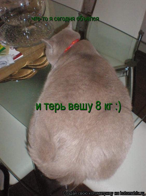 что-то я сегодня объелся и терь вешу 8 кг :)... Котоматрица: что-то я сегодня объелся и терь вешу 8 кг :)