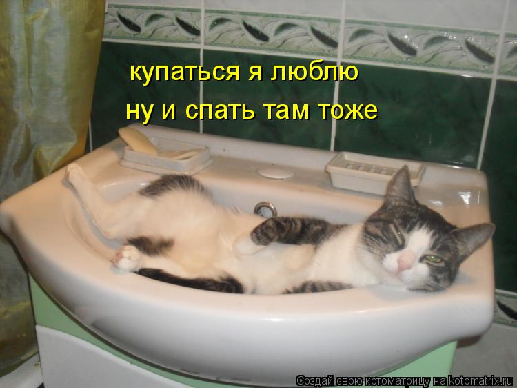 купаться я люблю ну и спать там тоже... Котоматрица: купаться я люблю ну и спать там тоже