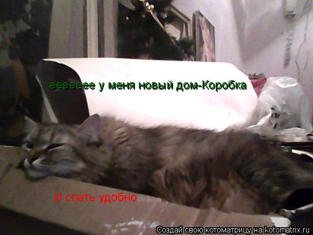 Котоматрица: еееееее у меня новый дом-Коробка И спать удобно