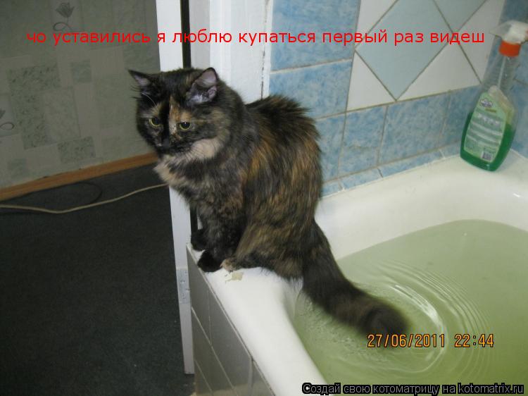 Котоматрица: чо уставились я люблю купаться первый раз видеш