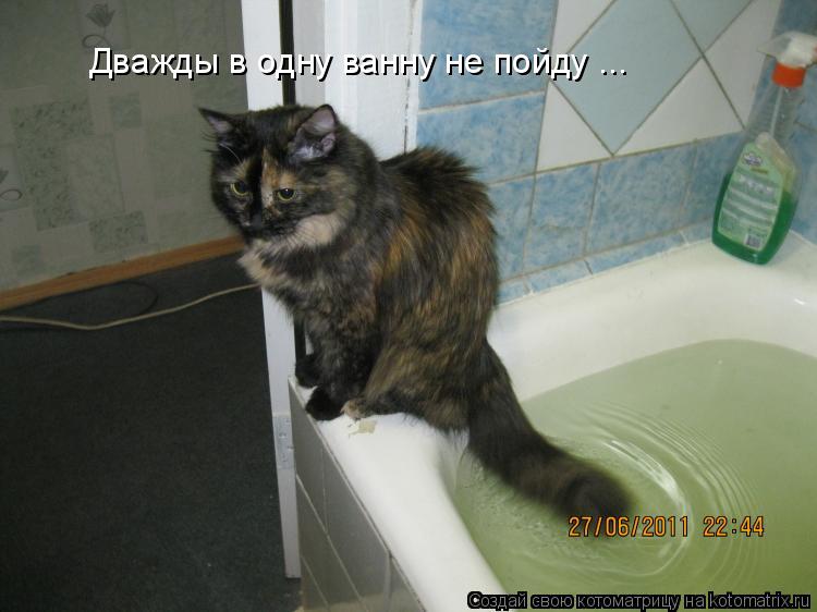 Котоматрица: Дважды в одну ванну не пойду ...
