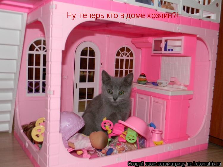 Котоматрица: Ну, теперь кто в доме хозяин?!