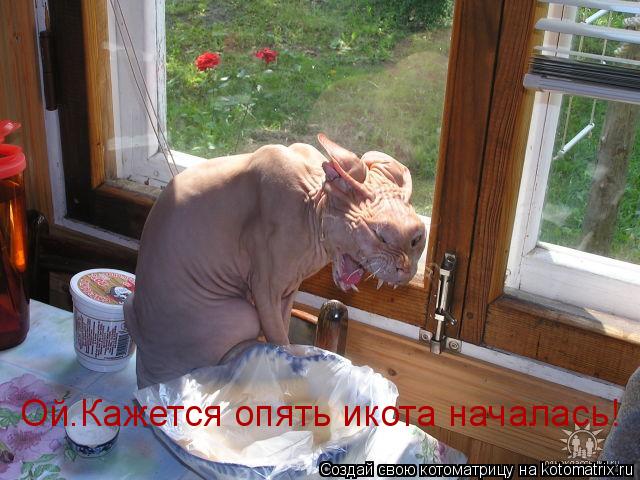 Котоматрица: Ой.Кажется опять икота началась!