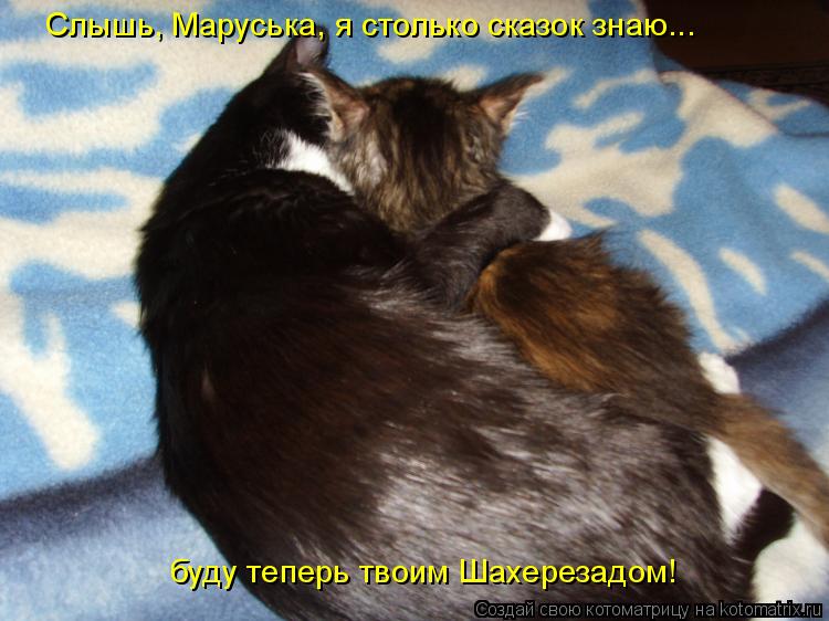 Котоматрица: Слышь, Маруська, я столько сказок знаю...  буду теперь твоим Шахерезадом!