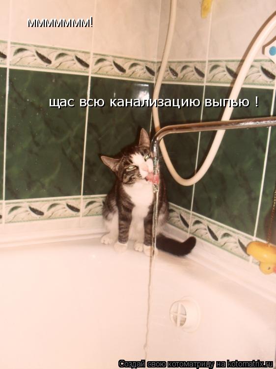 Котоматрица: ммммммм!  щас всю канализацию выпью !  щас всю канализацию выпью !