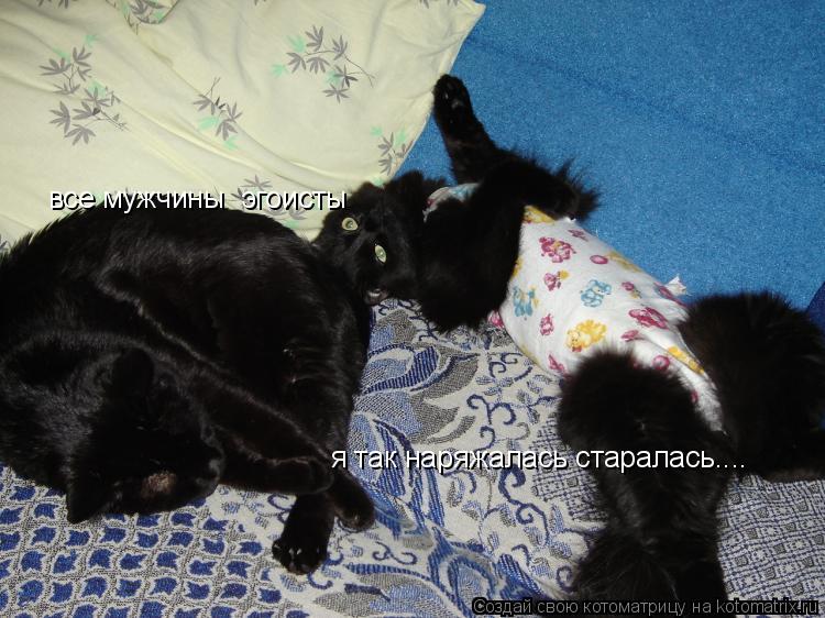 Котоматрица: все мужчины  эгоисты я так наряжалась старалась....
