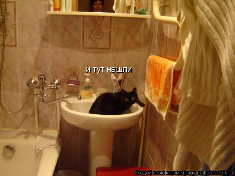 Котоматрица: и тут нашли