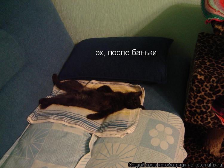 Котоматрица: эх, после баньки