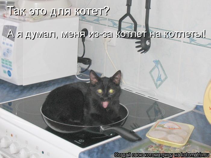 Котоматрица: Так это для котет? А я думал, меня из-за котлет на котлеты!