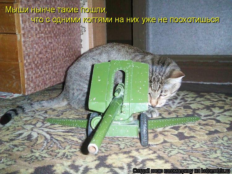 Котоматрица: Мыши нынче такие пошли, что с одними когтями на них уже не поохотишься