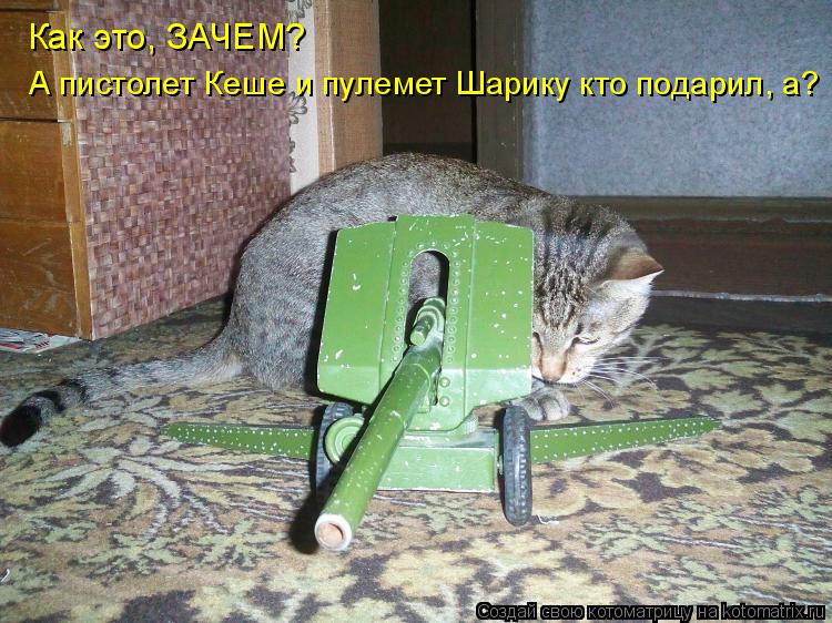 Котоматрица: Как это, ЗАЧЕМ? А пистолет Кеше и пулемет Шарику кто подарил, а?