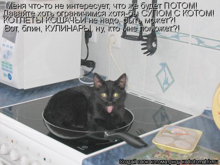 Котоматрица: Меня что-то не интересует, что же будет ПОТОМ! Давайте хоть ограничимся хотя-бы СУПОМ С КОТОМ! КОТЛЕТЫ КОШАЧЬИ не надо, быть может?! Вот, блин, 