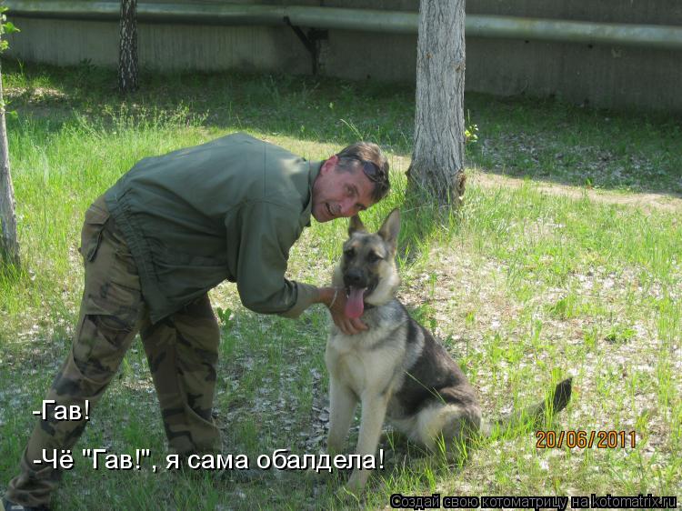 Котоматрица: -Гав! -Чё "Гав!", я сама обалдела! -Гав!