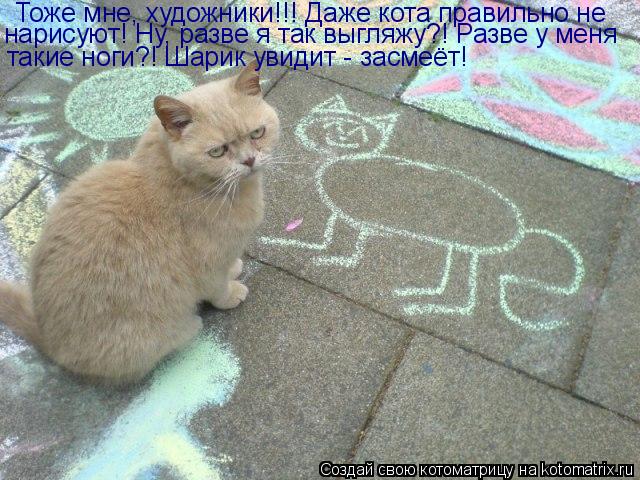 Котоматрица: Тоже мне, художники!!! Даже кота правильно не нарисуют! Ну, разве я так выгляжу?! Разве у меня такие ноги?! Шарик увидит - засмеёт!