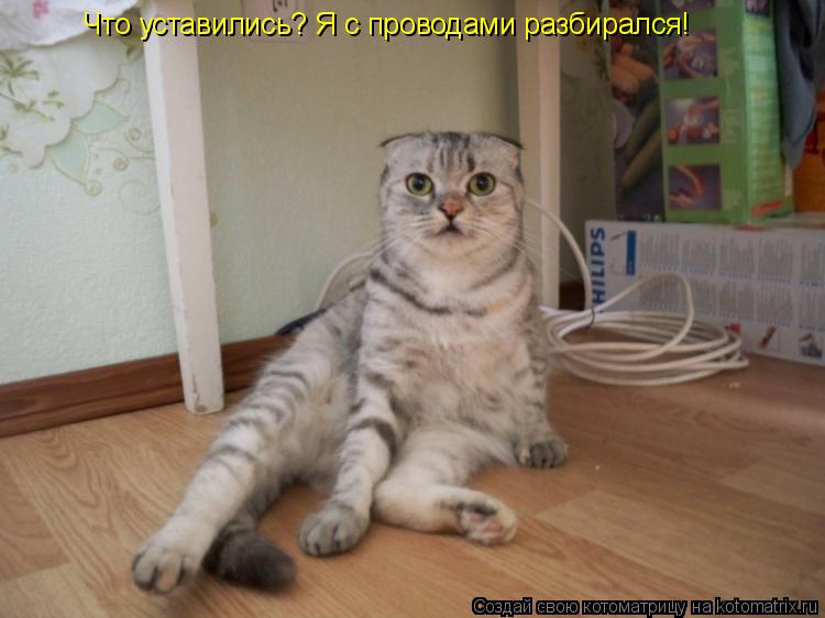 Котоматрица: Что уставились? Я с проводами разбирался!