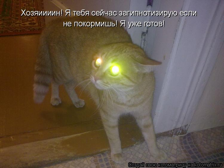 Котоматрица: Хозяиииин! Я тебя сейчас загипнотизирую если не покормишь! Я уже готов!