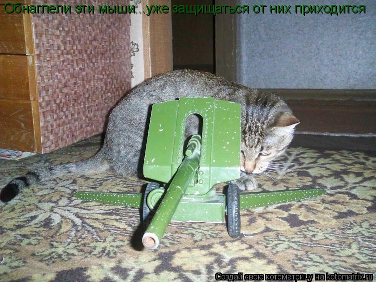 Котоматрица: Обнаглели эти мыши...уже защищаться от них приходится