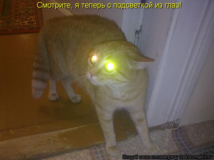 Котоматрица: Смотрите, я теперь с подсветкой из глаз!