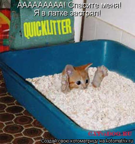 Котоматрица: ААААААААА! Спасите меня!  Я в латке застрял!