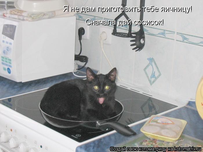 Котоматрица: Я не дам приготовить тебе яичницу! Сначала дай сосисок!