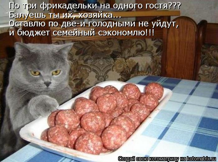 Котоматрица: По три фрикадельки на одного гостя??? Балуешь ты их, хозяйка... Оставлю по две-и голодными не уйдут, и бюджет семейный сэкономлю!!!