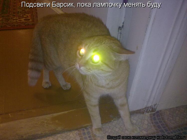 Котоматрица: Подсвети Барсик, пока лампочку менять буду.