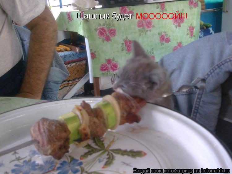Котоматрица: Шашлык будет МОООООЙ!!!