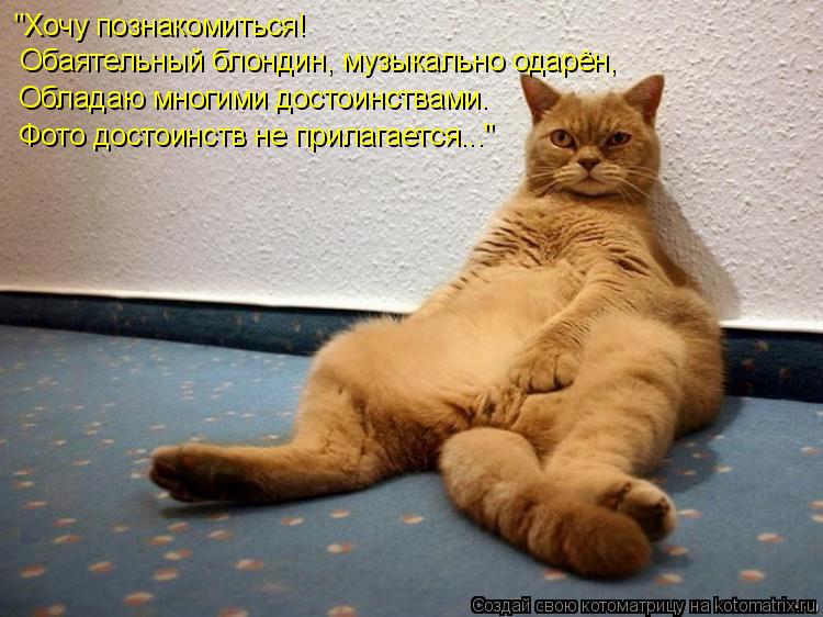Котоматрица: "Хочу познакомиться! Обаятельный блондин, музыкально одарён, Обладаю многими достоинствами. Фото достоинств не прилагается..."