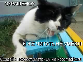 Котоматрица: ОКРАШЕНО? Я ЖЕ ЧИТАТЬ НЕ УМЕЮ!!