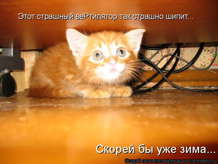 Котоматрица: Этот страшный веРтилятор так страшно шипит... Скорей бы уже зима...