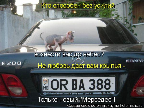 Котоматрица: Только новый "Мерседес"! вознести вас до небес? Кто способен без усилий Не любовь дает вам крылья -
