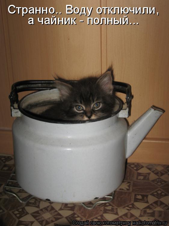 Котоматрица: Странно.. Воду отключили,  а чайник - полный...