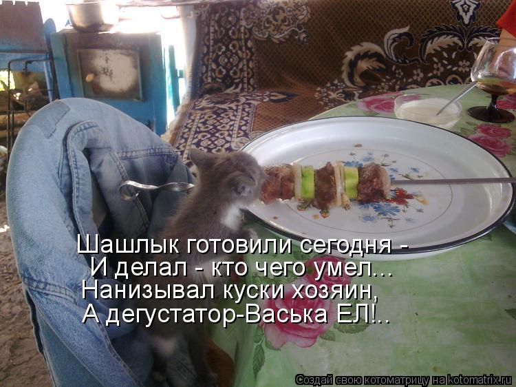 Шашлык готовили сегодня - И делал - кто чего умел... Нанизывал куски хозяин, А дегустатор-Васька ЕЛ!... Котоматрица: Шашлык готовили сегодня - И делал - кто чего умел... Нанизывал куски хозяин, А дегустатор-Васька ЕЛ!..