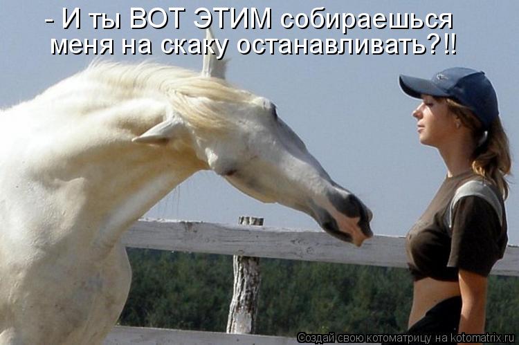 Котоматрица: - И ты ВОТ ЭТИМ собираешься меня на скаку останавливать?!!