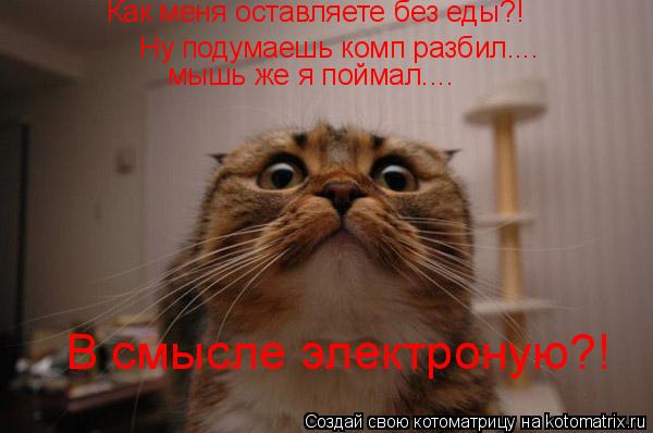 Котоматрица: Ну подумаешь комп разбил....  мышь же я поймал.... В смысле электроную?! Как меня оставляете без еды?!
