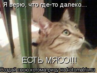 Котоматрица: Я верю, что где-то далеко... ЕСТЬ МЯСО!!!