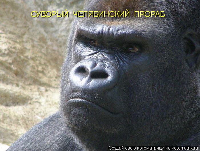 Котоматрица: СУВОРЫЙ  ЧЕЛЯБИНСКИЙ  ПРОРАБ