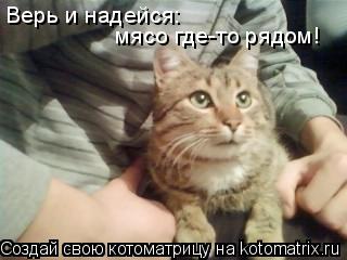 Котоматрица: Верь и надейся:  мясо где-то рядом!