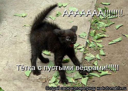 Котоматрица: ААААААА!!!!!!!! Тётка с пустыми вёдрами!!!!!!