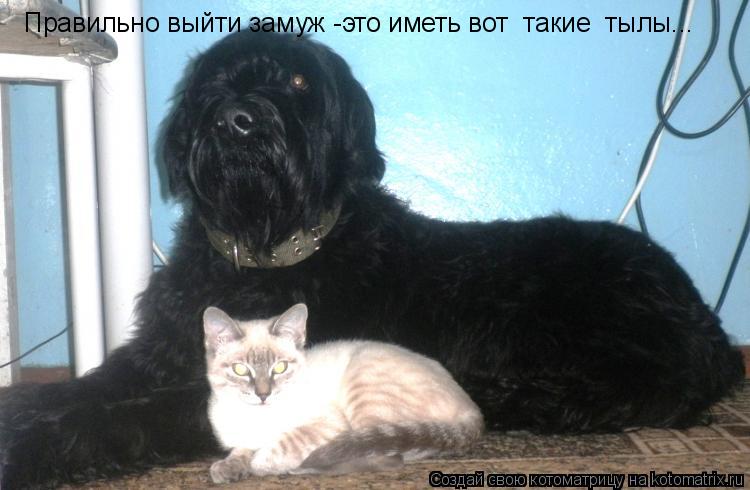Правильно выйти замуж -это иметь вот такие тылы...... Котоматрица: Правильно выйти замуж -это иметь вот такие тылы...