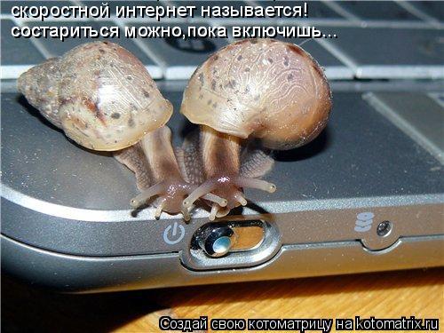 Котоматрица: скоростной интернет называется! скоростной интернет называется! состариться можно,пока включишь... состариться можно,пока включишь...