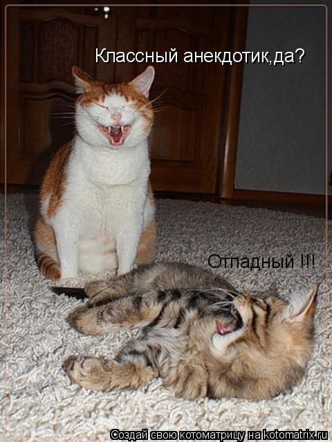 Классный анекдотик,да? Отпадный !!!... Котоматрица: Классный анекдотик,да? Отпадный !!!