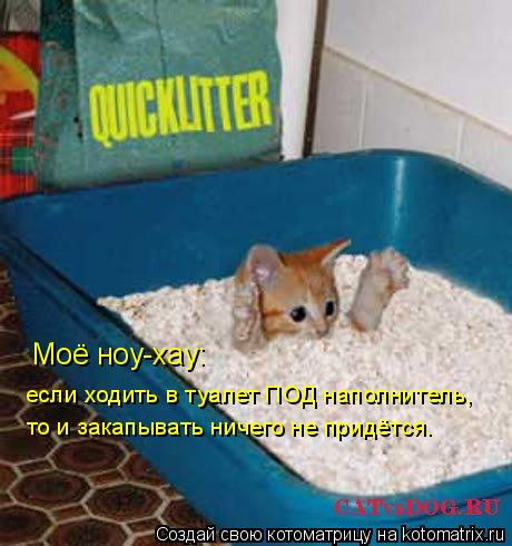 то и закапывать ничего не придётся. если ходить в туалет ПОД наполнитель, Моё ноу-хау:... Котоматрица: то и закапывать ничего не придётся. если ходить в туалет ПОД наполнитель, Моё ноу-хау:
