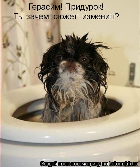 Котоматрица: Герасим! Придурок! Ты зачем  сюжет  изменил?