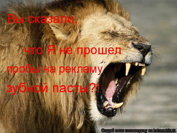 Котоматрица: Вы сказали,  что Я не прошел пробы на рекламу  зубной пасты?!