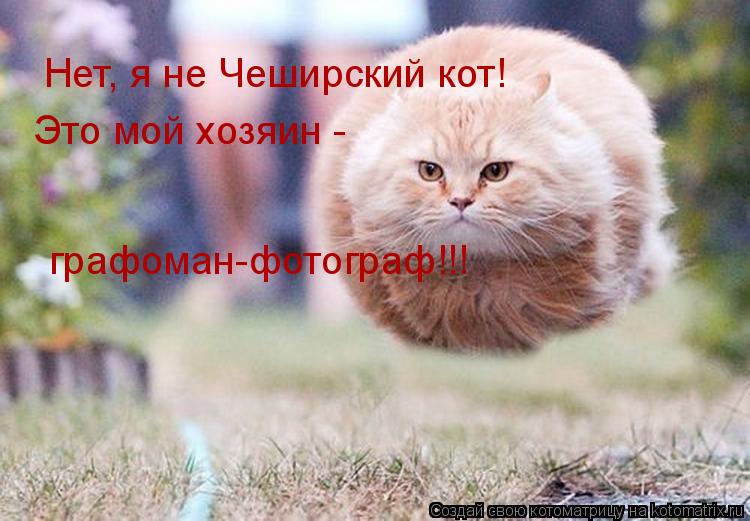 Котоматрица: Нет, я не Чеширский кот! Это мой хозяин -  графоман-фотограф!!!