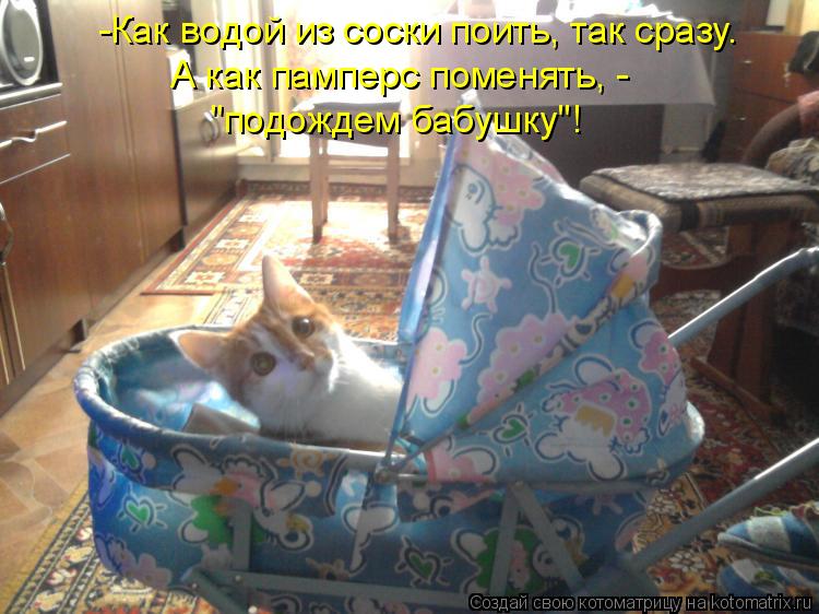 Котоматрица: -Как водой из соски поить, так сразу. А как памперс поменять, -  "подождем бабушку"!